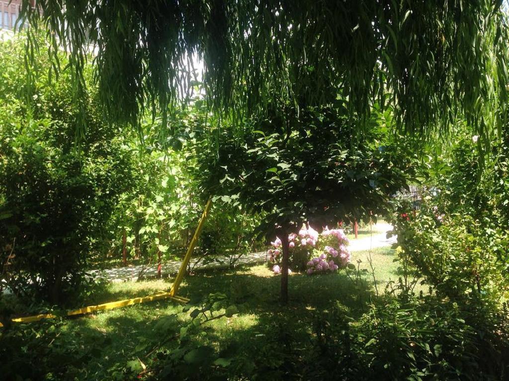 阿姆斯特丹别墅 奥赫里德 外观 照片